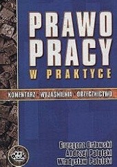 Okładka książki Prawo pracy w praktyce Grzegorz Orłowski, Andrzej Patulski, Władysław Patulski