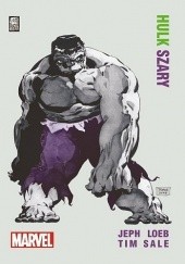 Okładka książki Hulk: Szary Matt Hollingsworth, Jeph Loeb, Tim Sale