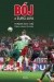 Bój o Euro 2016