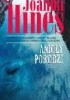 Okładka książki Anioły powodzi Joanna Hines