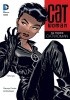 Okładka książki Catwoman: Na tropie Catwoman Mike Allred,&nbsp;Ed Brubaker,&nbsp;Giulia Brusco,&nbsp;Rick Burchett,&nbsp;Darwyn Cooke,&nbsp;Matt Hollingsworth,&nbsp;Lee Loughridge,&nbsp;Brad Rader,&nbsp;Cameron Stewart