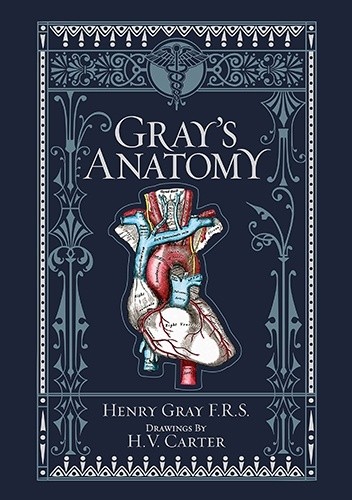 Okładka książki Gray's Anatomy Henry Vandyke Carter, Henry Gray
