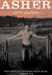 Okładka książki Asher Effy Vaughn