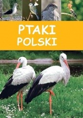 Okładka książki Ptaki Polski praca zbiorowa