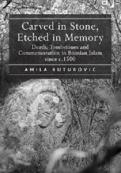 Okładka książki Carved in Stone, Etched in Memory Amila Buturovic