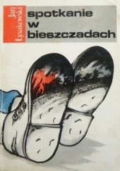 Okładka książki Spotkanie w Bieszczadach Jan Łysakowski
