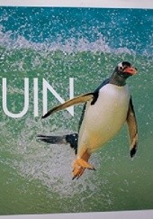 Penguin Life: Surviving With Style In The South Atlantic