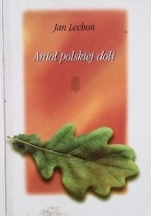 Okładka książki Anioł polskiej doli