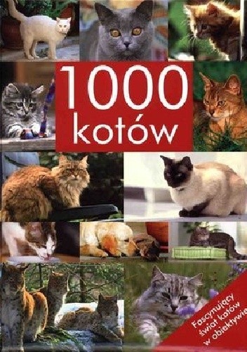 Okładka książki 1000 kotów Brigit Adam, Julia Christ, Ines Christner-Benedetti, Beate Ralston