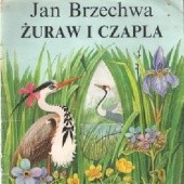 Okładka książki Żuraw i czapla Jan Brzechwa