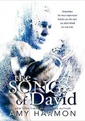 Okładka książki The Song of David Amy Harmon