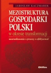 Mezostruktura gospodarki Polski w okresie transformacji. Uwarunkowania, procesy, efektywność