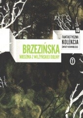 Okładka książki Wiedźma z Wilżyńskiej Doliny Anna Brzezińska
