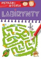 Okładka książki Labirynty. Bystrzaki do dzieła praca zbiorowa