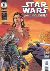 Okładka książki Star Wars: Jedi Council - Acts of War #3 Randy Stradley