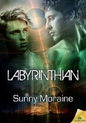 Okładka książki Labyrinthian Sunny Moraine