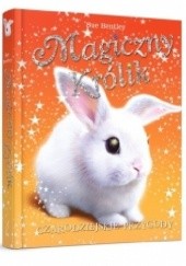 Okładka książki Magiczny królik. Czarodziejskie przygody