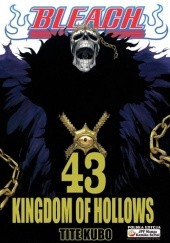 Okładka książki Bleach 43. Kingdom of hollows Tite Kubo