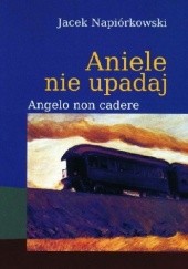 Okładka książki Aniele nie upadaj/Angelo non cadere