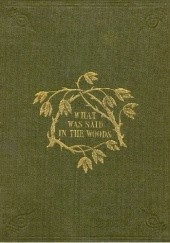 Okładka książki What Was Said In The Woods Gustav Heinrich Gans Putlitz
