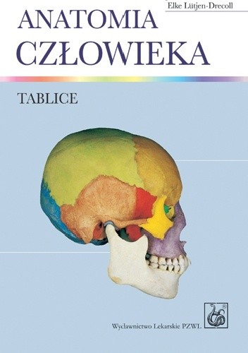 Okładka książki Anatomia człowieka. Tablice Elke Lutjen-Drecoll, Johannes W. Rohen
