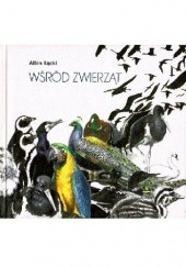 Okładka książki Wśród zwierząt. Ptaki Albin Łącki