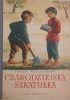 Okładka książki Czarodziejska szkatułka Iwan Wasilenko