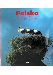 Okładka książki Polska Adam Bujak