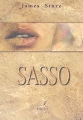 Okładka książki Sasso James Sturz