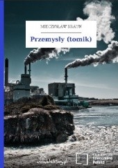 Okładka książki Przemysły (tomik) Mieczysław Braun