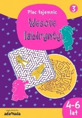 Okładka książki Wesołe labirynty 3 (4-6 lat) Aleksandra Golecka-Mazur