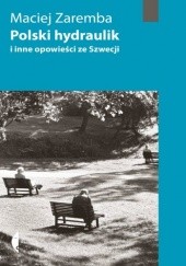 Okładka książki Polski hydraulik i inne opowieści ze Szwecji