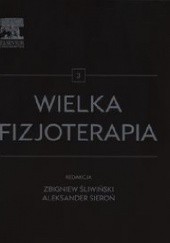 Okładka książki Wielka fizjoterapia Tom 3 Aleksander Sieroń, Zbigniew Śliwiński