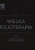 Okładka książki Wielka fizjoterapia Tom 3 Aleksander Sieroń,&nbsp;Zbigniew Śliwiński
