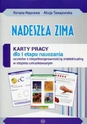 Okładka książki Nadeszła zima Karty pracy dla I etapu nauczania Renata Naprawa, Alicja Tanajewska