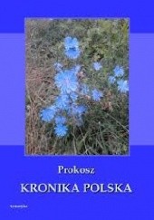 Okładka książki Kronika Polska Prokosz