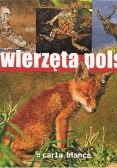 Okładka książki Zwierzęta Polski Barbara Ćwikowska, Marcin Karetta
