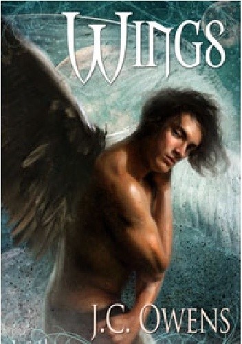 Okładki książek z cyklu Wings