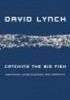 Catching The Big Fish