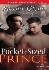 Okładka książki Pocket-Sized Prince Stormy Glenn