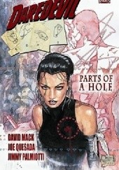 Okładka książki Daredevil / Echo: Parts of a Hole David Mack, Jimmy Palmiotti, Joe Quesada