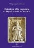 Okładka książki Dziecięce płyty nagrobne na Śląsku od XVI do XVIII wieku Małgorzata Stankiewicz