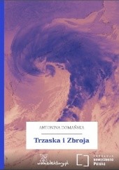 Okładka książki Trzaska i zbroja Antonina Domańska