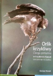 Okładka książki Orlik krzykliwy Clanga pomarina w krajobrazie Karpat Damian Nowak
