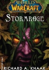 Okładka książki World of Warcraft: Stormrage Richard A. Knaak