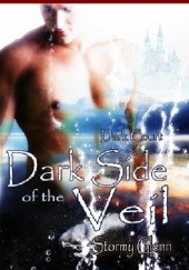 Okładka książki Dark Side of the Veil Stormy Glenn