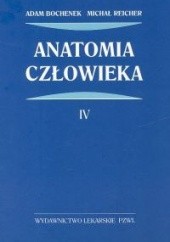 Okładka książki Anatomia człowieka Tom 4 Adam Bochenek, Michał Reicher