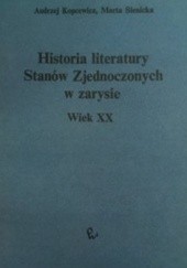 Okładka książki Historia literatury Stanów Zjednoczonych w zarysie. Wiek XX Andrzej Kopcewicz, Marta Sienicka