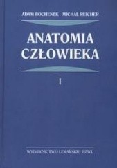 Okładka książki Anatomia człowieka 1 /Anatomia ogólna, kości, stawy i wiązadła, mięśnie Tom 1 Adam Bochenek, Michał Reicher