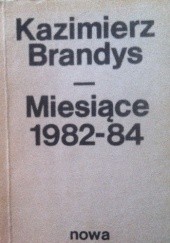 Okładka książki Miesiące 1982-84 Kazimierz Brandys